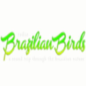 Rádio Brazilian Birds