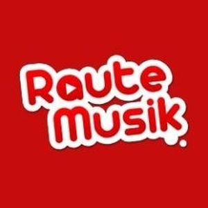 RauteMusik -Musik.Drumstep