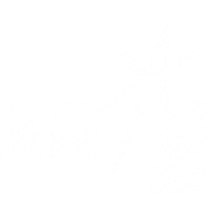 Star*Sat Radio