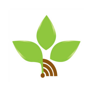 New Life Radio (راديو الحياة الجديدة)