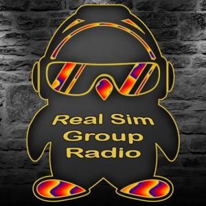 real-sim-group