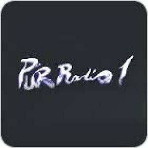 Pur Radio1