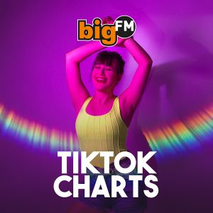 bigFM TikTok Charts