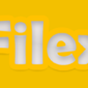 Filex FM