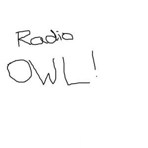 radioowl