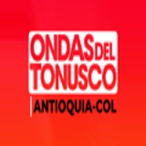 Ondas del Tonusco