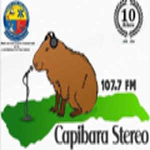 Capibara Stereo