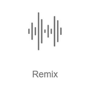 Radio Record - Remix