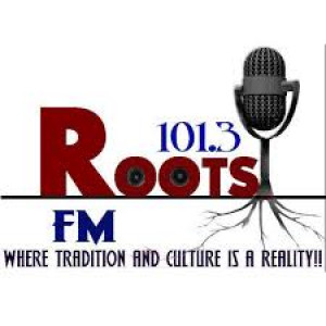 Roots FM 101.3