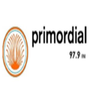 Radio Primordial