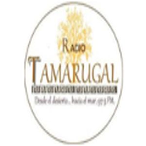 Radio Tamarugal