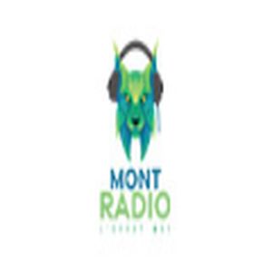 Mont Radio (École Mont-Saint-Sacrement)