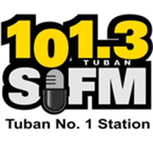 RADIO Si FM 101.3