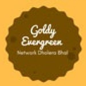 Goldy Evergreen