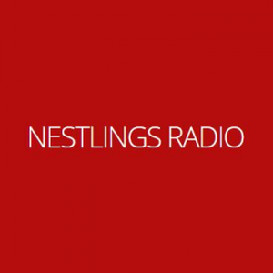 Radio Nestolatki