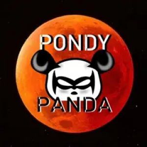 Pondy Panda Radio