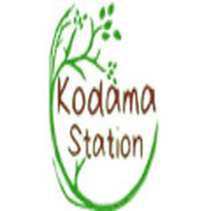Kodama Station