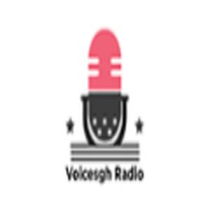 Voicesgh Radio