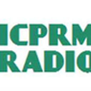 ICPRM Network Group Station