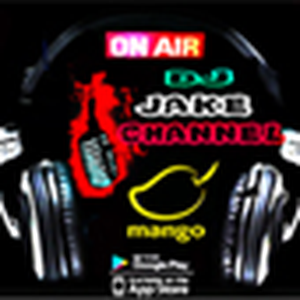 Jake Mango Channel