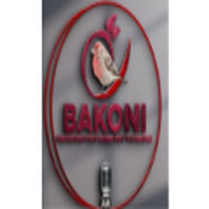 Bakoni Fm