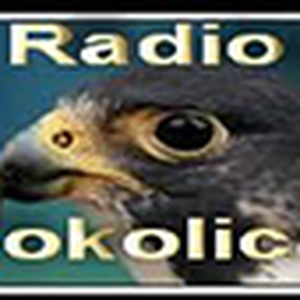 Radio Sokolica