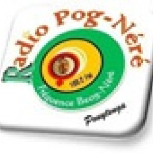 Radio Pognere