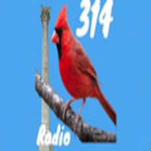 314 Bird Radio